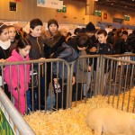 salon_agriculture_2015_00