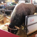 salon_agriculture_2015_04