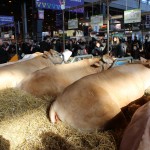 salon_agriculture_2015_05