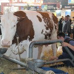 salon_agriculture_2015_07