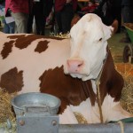 salon_agriculture_2015_08