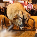 salon_agriculture_2015_09