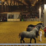 salon_agriculture_2015_15